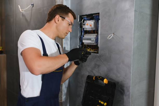 Best Electric Panel Repair  in Springville, VA